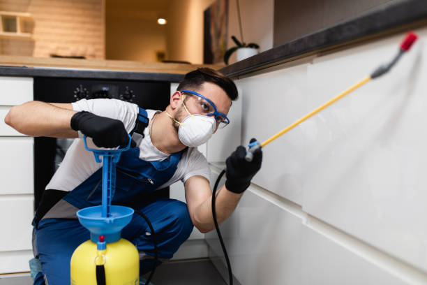Best Exterminator Services  in Frostproof, FL