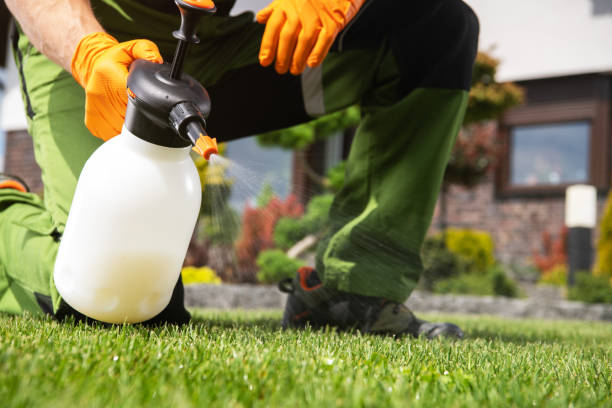 Pest Prevention Services in Frostproof, FL