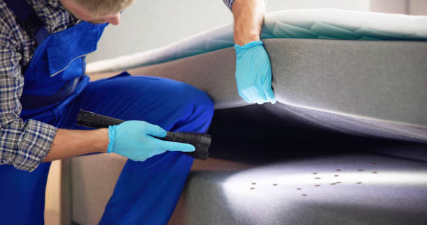 Best Mosquito Control Services  in Frostproof, FL