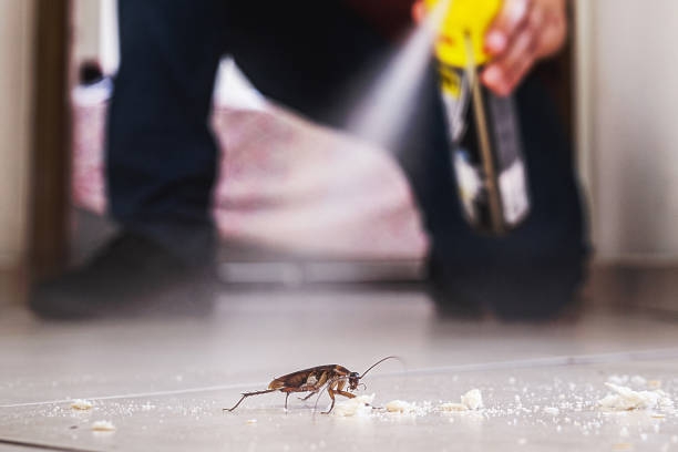Best Pest Removal Services  in Frostproof, FL